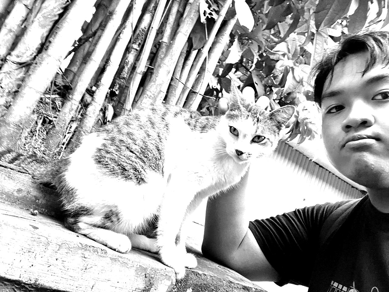Hanif Dwy Putra S. with a cat, Bandung